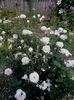 20160608_174820