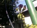090620163160
