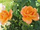 20160610_122908
