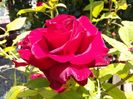 20160610_122754