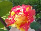 20160610_122553