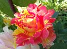 20160610_122540