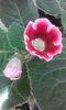 20160610_150559