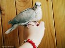 DSCN7915