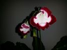 20160610_180422