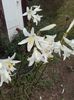 20160610_182445