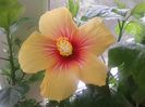 20160610_133724