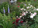 Bonjour Garden