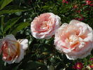 Abraham Darby