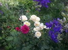 20160610_181013