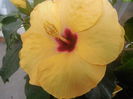 DSCN0809