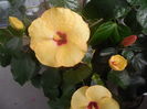 DSCN0810