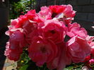 DSC00708