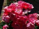 DSC00709