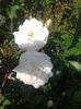 20160528_174332