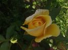 20160528_174450