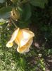 20160528_174650