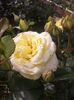 20160531_111203