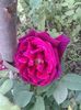 20160531_111743