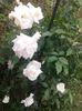 20160531_111840