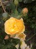20160531_112057