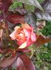 20160602_134505