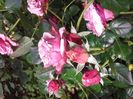 20160602_135232
