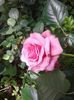20160602_135246