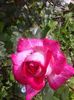 20160607_161850