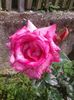 20160607_162023