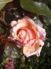 20160607_162030