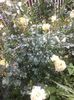 20160607_162115