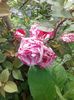20160607_162133