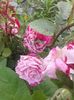 20160610_183044