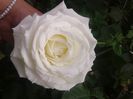 20160610_184121