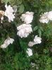 20160610_184529