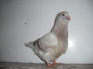 DSCF1020