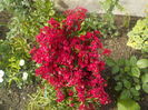 DSCN0006[1]