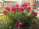 DSCN0025[1]