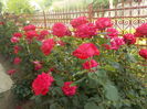 DSCN0021[1]