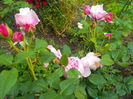DSCN0049[1]