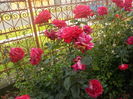 DSCN0026[1]