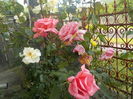 DSCN0031[1]