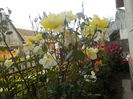 DSCN0034[1]