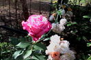 IMG_20160612_092923
