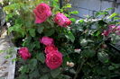 IMG_20160612_092821