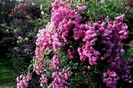 IMG_20160612_092118