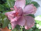 20160612_092139