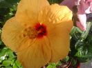 20160612_092151