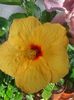 20160612_092155